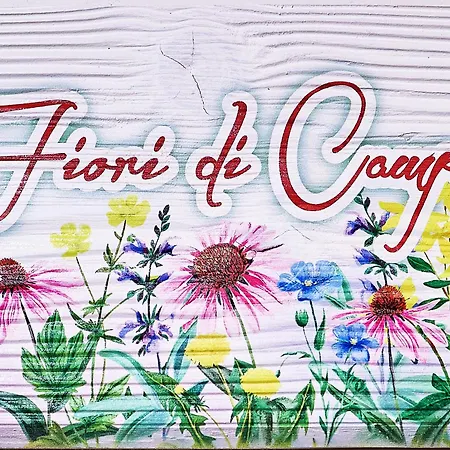 Luci Della Collina Boutique Relax Tortoreto