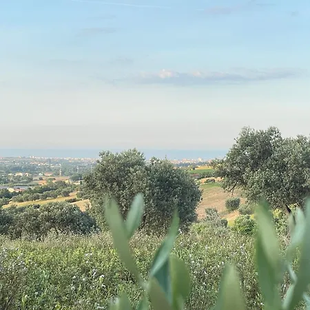 Luci Della Collina Boutique Relax فندق مبيت وإفطار Tortoreto