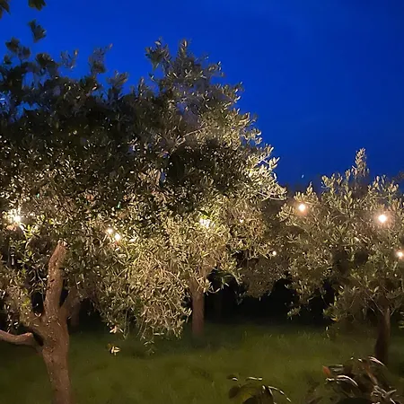 Luci Della Collina Boutique Relax 4*