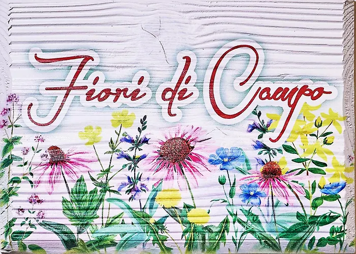 Luci Della Collina Boutique Relax Tortoreto